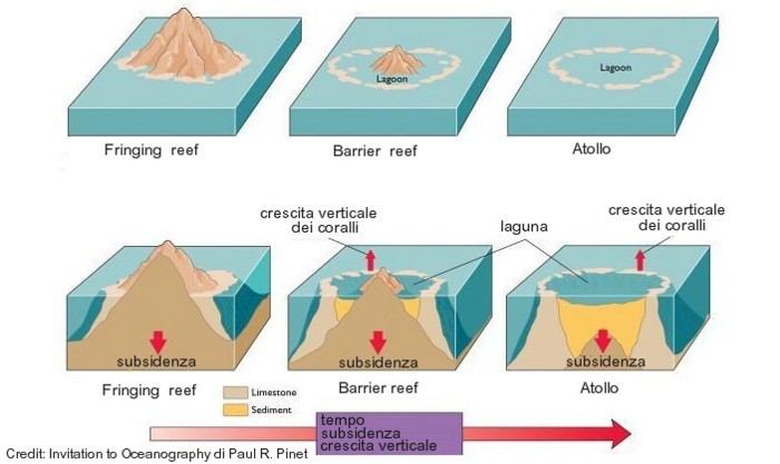 Evoluzione dei coralli
